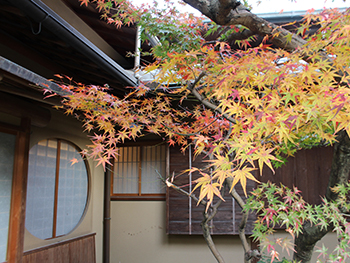 展示会場「亀陽荘」３